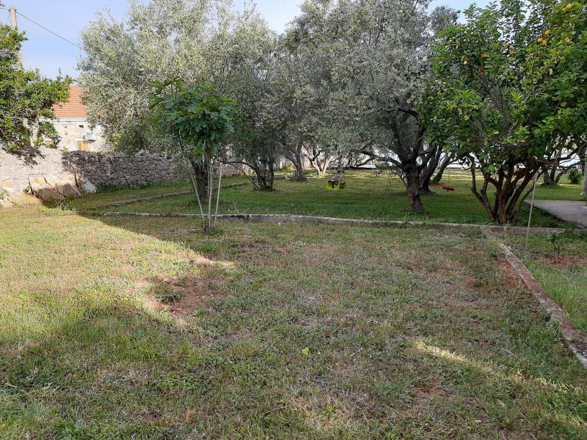 Family House Rebeka Daire Ugljan Dış mekan fotoğraf